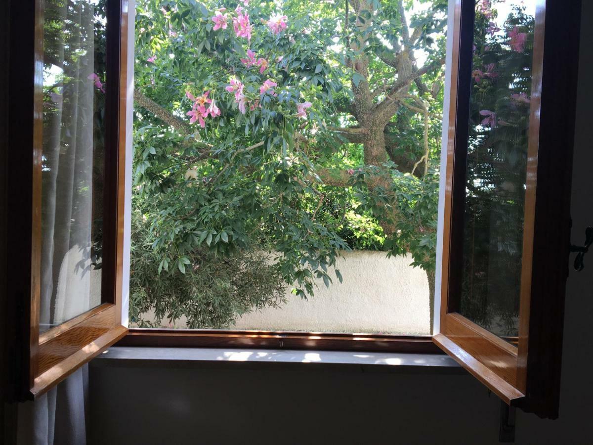 B&B Zagara Marsala Ngoại thất bức ảnh